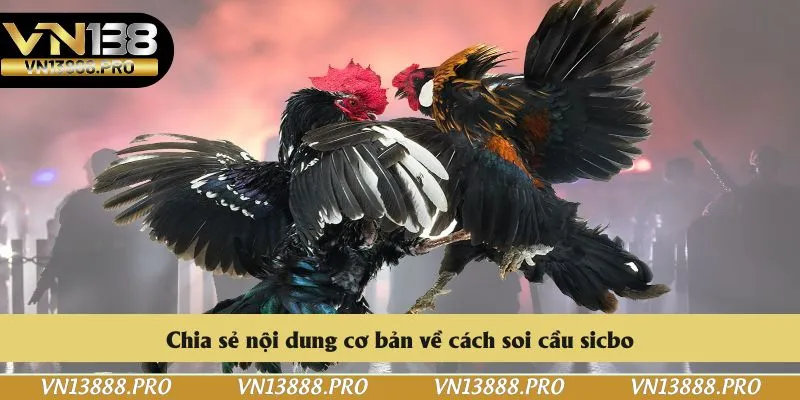 Khái quát một số thông tin cơ bản về đá gà C3 hôm nay