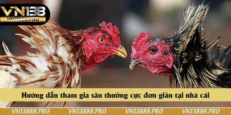 Hướng dẫn tham gia săn thưởng cực đơn giản tại nhà cái
