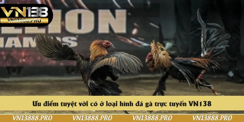 Ưu điểm tuyệt vời có ở loại hình đá gà trực tuyến VN138