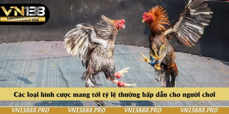 Các loại hình cược mang tới tỷ lệ thưởng hấp dẫn cho người chơi