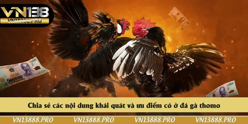 Chia sẻ các nội dung khái quát và ưu điểm có ở đá gà thomo