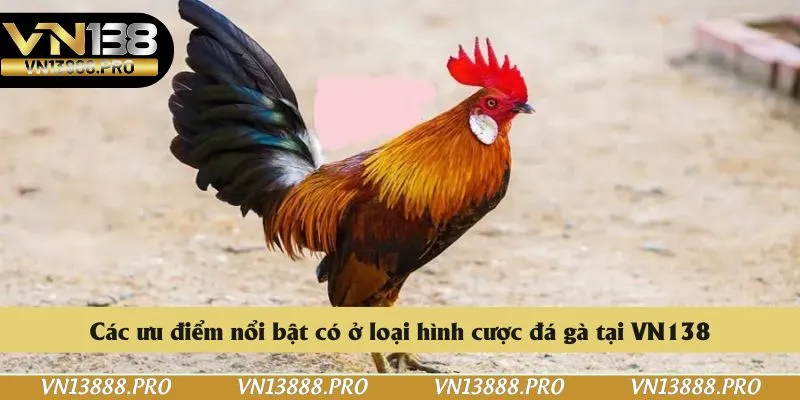 Các ưu điểm nổi bật có ở loại hình cược đá gà tại VN138