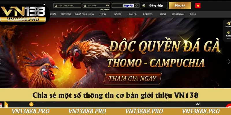 Chia sẻ một số thông tin cơ bản giới thiệu VN138