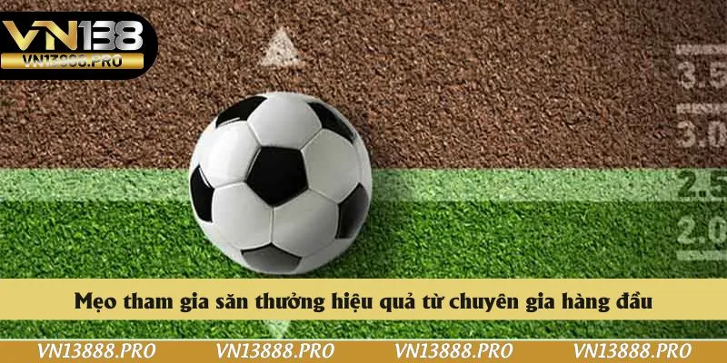 Mẹo tham gia săn thưởng hiệu quả từ chuyên gia hàng đầu
