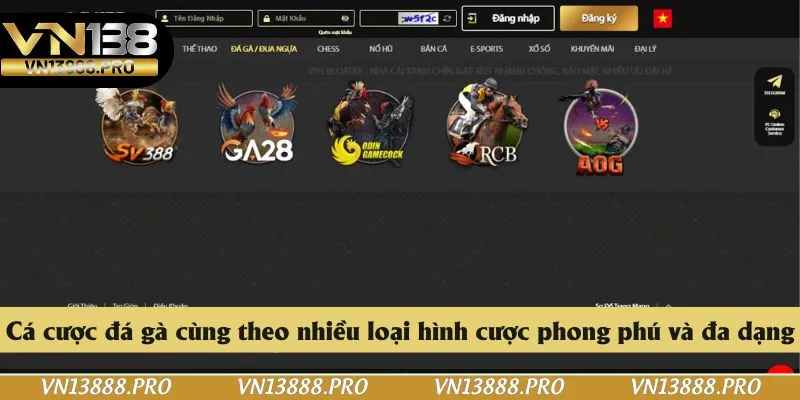 Cá cược đá gà cùng theo nhiều loại hình cược phong phú và đa dạng